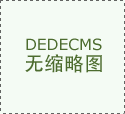 该机械人身上印有特斯拉Lo